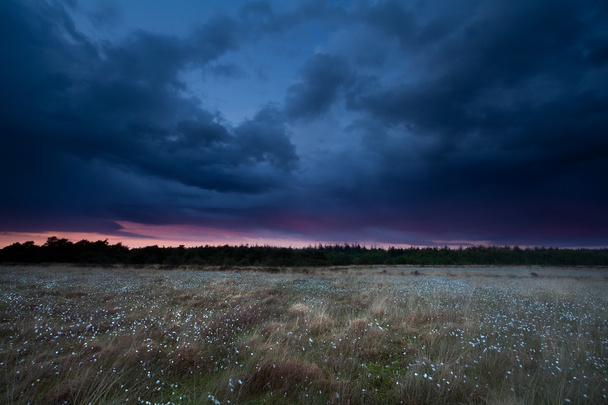 日没時の沼めぐり劇的な嵐の空 - 写真・画像
