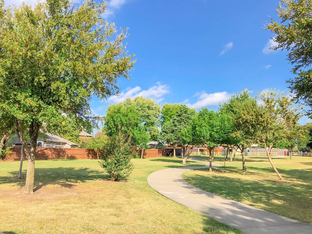 米国テキサス州の住宅公園や郊外の住宅で成熟したオークの木とSカーブのパス - 写真・画像