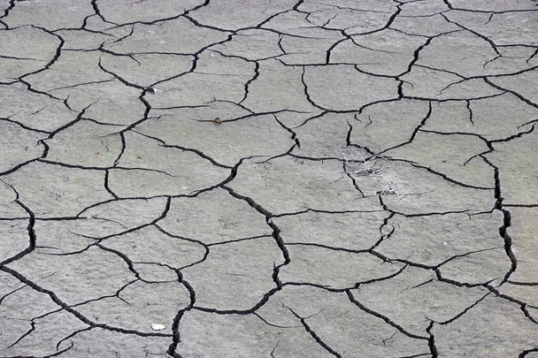 Фон текстуры трещины сухой почвы засушливой области  - Фото, изображение