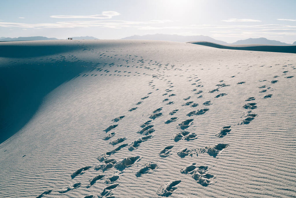 From above of footsteps of travelers on sandy dunes in White Sands National Park in dry desert in sunny day - Foto, Bild