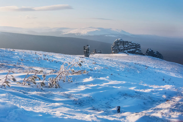 Arbres sur les montagnes du nord de l'Oural, République de Komi, Paysage russe
 - Photo, image