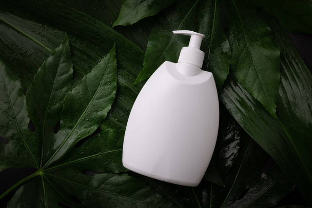 blank white body lotion pump bottle on wet green leaves. top view copy space - Foto, Imagem