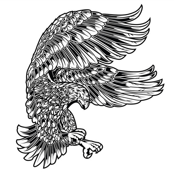 Ala de dibujo de pájaro águila Annimal EE.UU. America Vector illustration - Vector, Imagen