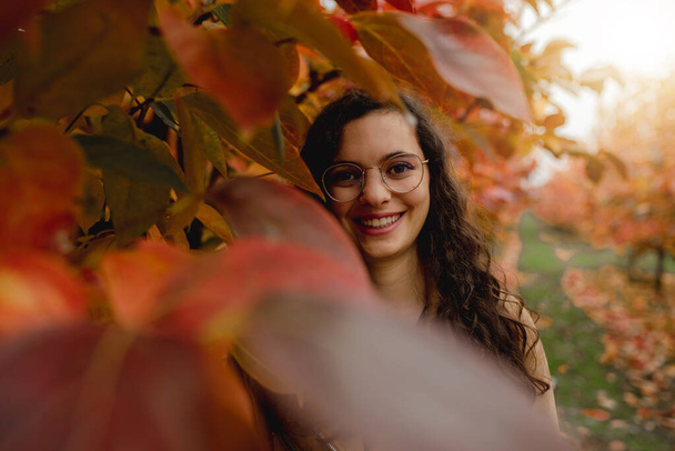 Lähikuva nuori nainen muotokuva hymyilee katsoen kameraa pellolla punaisia lehtiä ja puita. Syksyn kauden käsite. - Valokuva, kuva