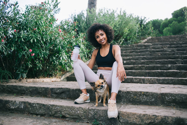 Cheerful young ethnic woman in active wear looking at camera and smiling while spending time with Chihuahua in green park - Fotografie, Obrázek