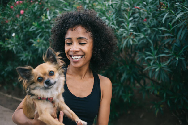 Smiling young African American female with dark fluffy hair and casual clothes hugging adorable little Chihuahua while walking along green park - Foto, Bild