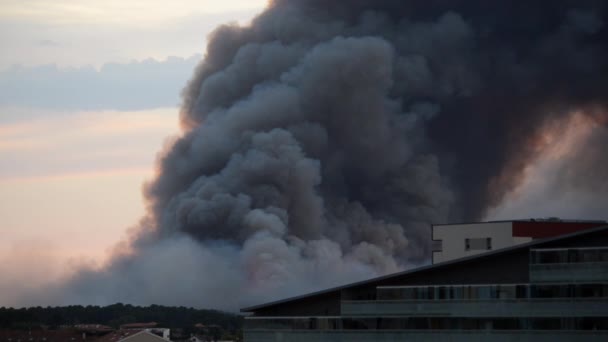 Anglet Chiberta Incendio forestal visto desde Bayona, Francia. - Metraje, vídeo