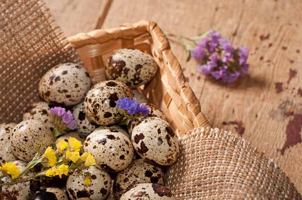 Křepelčí vejce v košíku a květiny - Fotografie, Obrázek
