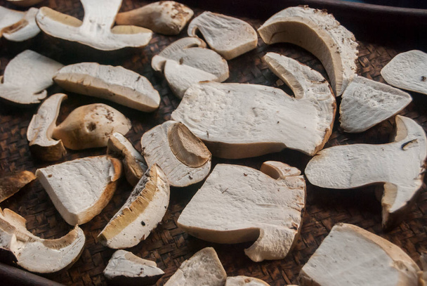 Нарізані свіжі гриби болетус, приготовані для сушіння
 - Фото, зображення