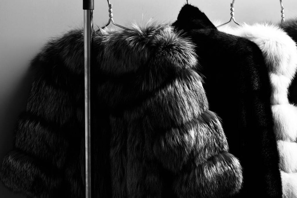 fashionable fur on hangers - Fotografie, Obrázek