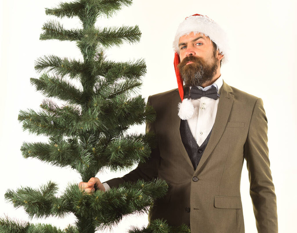 Director with beard gets ready for Christmas. Christmas corporate party - Φωτογραφία, εικόνα