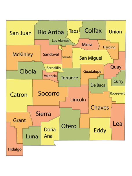 ABD Federal Eyaleti New Mexico 'nun Renkli İlçe Haritası - Vektör, Görsel