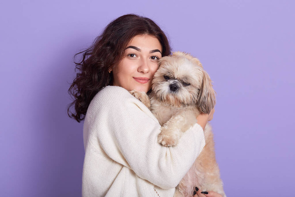 Young woman with dark wavy hair holding Pekingese in hands and hugs it, lady looking directly at camera, female with her favorite puppy, girl wearing warm white knitted jumper against lilac wall. - Photo, Image