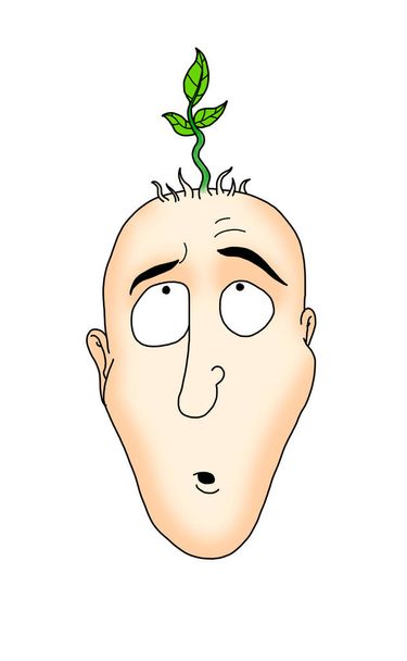 Desenhos animados ilustração de um jovem careca crescendo tayos, plantas e ervas em sua cabeça - Foto, Imagem