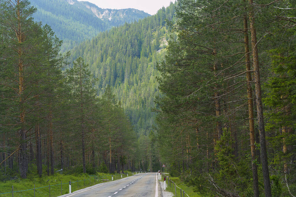 Paisaje de montaña en verano por la carretera del valle del Landro, Dolomitas, provincia de Bolzano, Trentino Alto Adigio, Italia, de Misurina a Dobbiaco - Foto, imagen