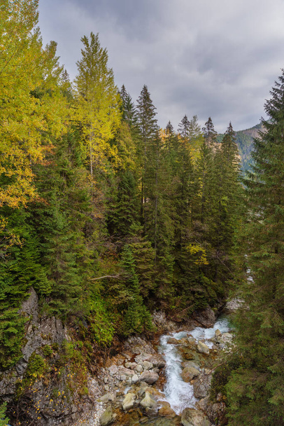 Cesta s podzimními stromy a vysokými horami pokrytými sněhem - Fotografie, Obrázek