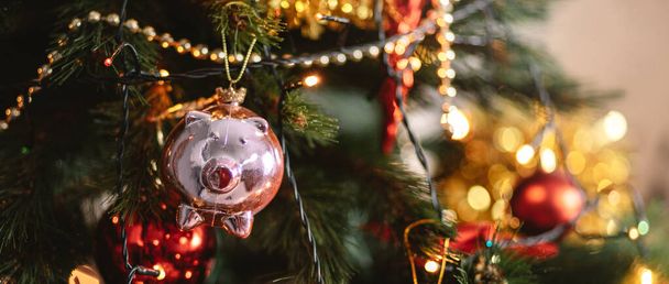Μικρό γουρούνι στο χριστουγεννιάτικο δέντρο - Φωτογραφία, εικόνα