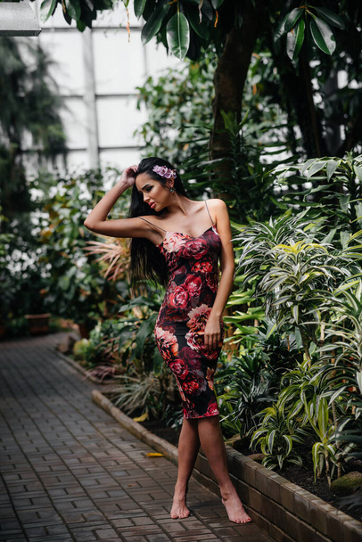 A young beautiful brunette posing among dense thickets of jungle and rainforest. Spa - Zdjęcie, obraz