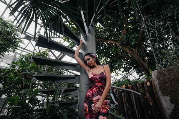 A young beautiful brunette poses near a spiral staircase in the Botanical garden among the dense thickets of the tropic forest. Spa - Fotografie, Obrázek
