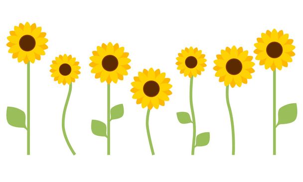 Sunflower with leaves isolated on white background. Flat design for poster or t-shirt. Vector illustration - Vector, Image
