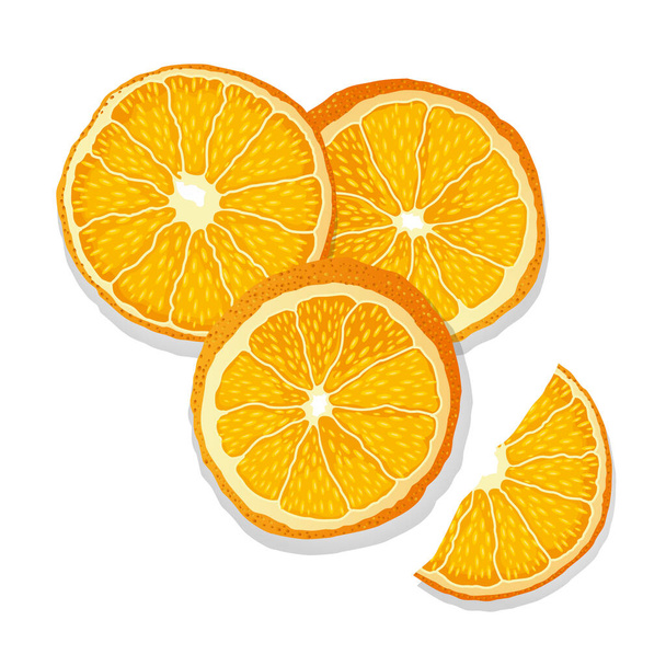 Immagine vettoriale isolato disegno arance su uno sfondo bianco, umore di Capodanno, l'odore di agrumi, fette secche di arancia, Capodanno, Natale - Vettoriali, immagini