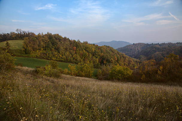 Forêt en automne sur une colline au coucher du soleil - Photo, image