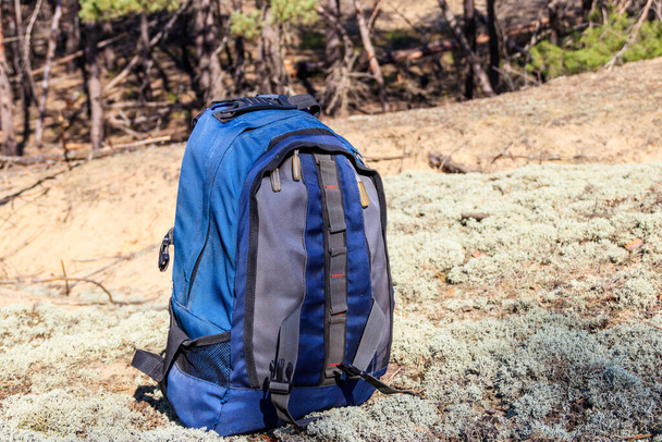 Tourist backpack on the glade in pine forest. Hike concept - Photo, Image