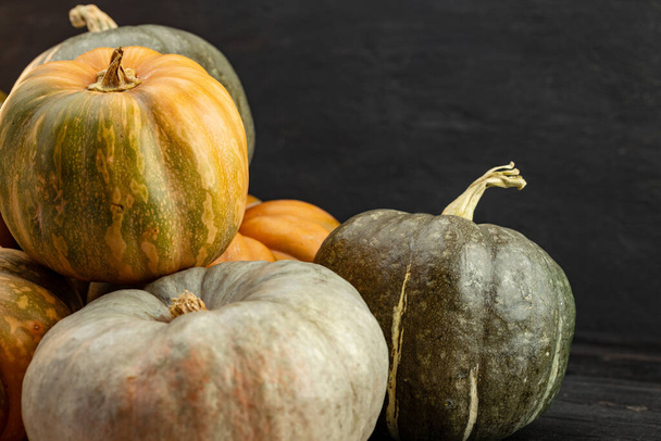 Assortment of different pumpkins on dark wooden background - Foto, immagini