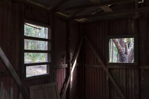 Dentro de un viejo edificio mirando por la ventana a un bosque - Foto, Imagen
