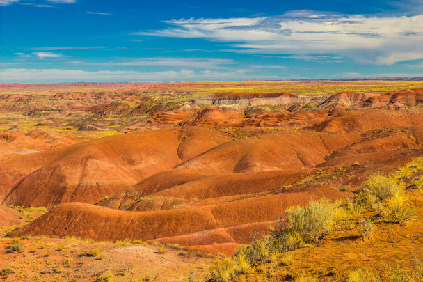 Rolling Hills of Erosion w Arizonie malowane pustyni - Zdjęcie, obraz