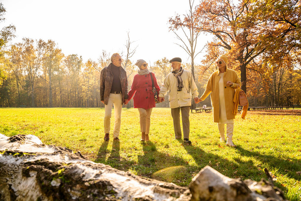 Happy group of old senior friends walking together in beautiful sunny autumn park, holding hands. Friendship concept with smiling mature people. - Fotoğraf, Görsel