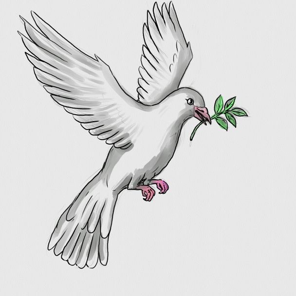 Akwarela obraz ilustracja białego gołębia lub gołębia niosącego liść oliwki w dziób latający oglądany z boku na odizolowanym białym tle. - Zdjęcie, obraz