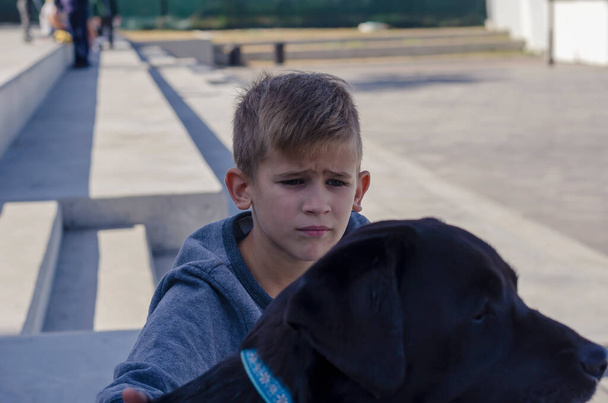Πορτρέτο ενός οκτάχρονου αγοριού και ενός 11χρονου λαμπραντόρ κατά τη διάρκεια μιας βόλτας. Το παιδί κάθεται και κοιτάζει προσεκτικά το κατοικίδιό του. Κατοικίδια. Τρόπος ζωής. - Φωτογραφία, εικόνα