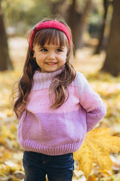 Portrait of a happy little girl holding a maple leaf in the autumn park - Photo, Image