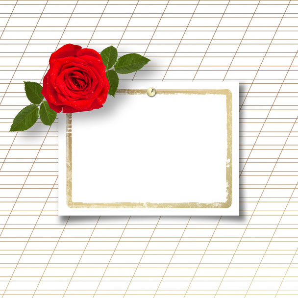 Rose with invitation card - Фото, зображення