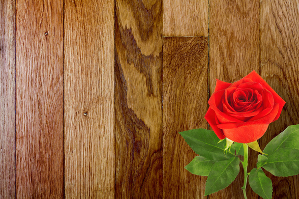 Red rose - Foto, imagen