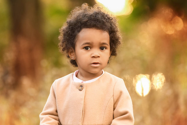 Cute African-American baby girl in autumn park - Fotoğraf, Görsel