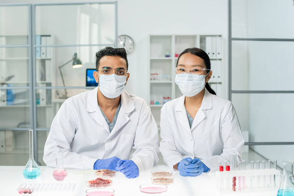 Dois jovens clínicos interculturais em whitecoats, máscaras protetoras e luvas estudando amostras de carne vegetal crua em laboratório - Foto, Imagem
