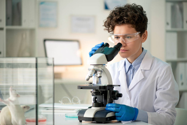 Investigadora joven contemporánea que mira los anticuerpos en el microscopio mientras hace experimentos con ratones en laboratorio - Foto, Imagen