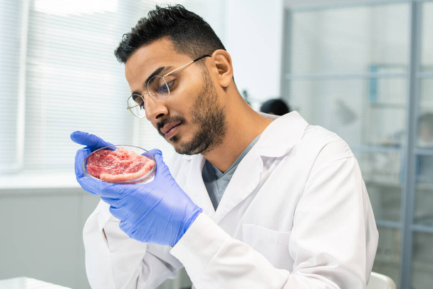 Jonge gehandschoende mannelijke wetenschappelijk onderzoeker in whitecoat houden petrischaal met stuk rauw groentevlees tijdens het bestuderen van de kenmerken - Foto, afbeelding