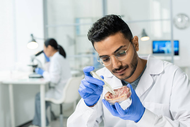 Muž v rukavici vědecký vědec v bílém plášti odebírá malý vzorek syrového zeleninového masa během experimentu v moderní laboratoři - Fotografie, Obrázek