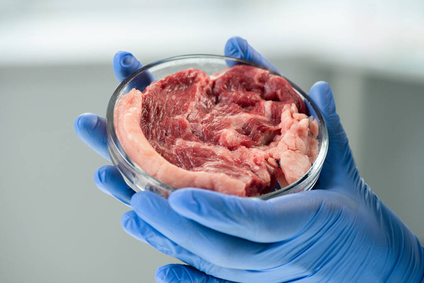 Gloved hands of contemporary scientific researcher holding petri dish with piece of raw vegetable meat in front of camera during experiment - Photo, Image