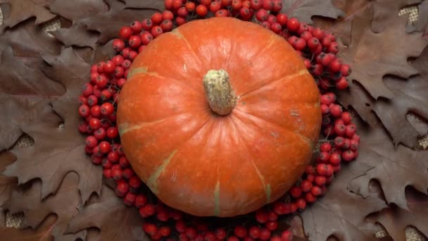 A narancstök, a szeder és az őszi levelek összetétele. Az őszi csendélet csúcspontja. Körforgás. Halloween ünnep. - Felvétel, videó