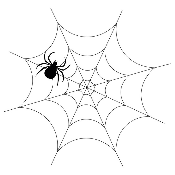The spider is hiding on the web. A clever hunter. Insect silhouette. Vector illustration. Halloween symbol. Outline on an isolated background. Black Widow. Waiting for the victim. Sticky trap. Bloodthirsty predator. Hunter's ambush. All Saints Day.  - Вектор, зображення