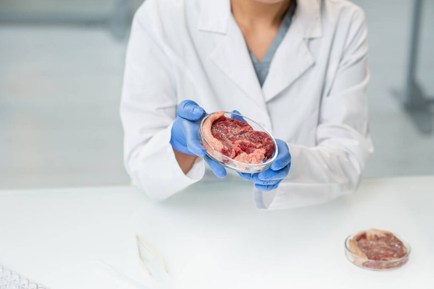 Gloved hands of young female researcher in whitecoat holding petri dish with piece of raw vegetable meat over table during experiment - Photo, Image