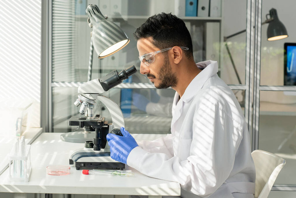 Zijaanzicht van jonge mannelijke laboratoriummedewerker in handschoenen, brillen en whitecoat die een monster van in het lab geteelde sojascheut in microscoop bestudeert - Foto, afbeelding