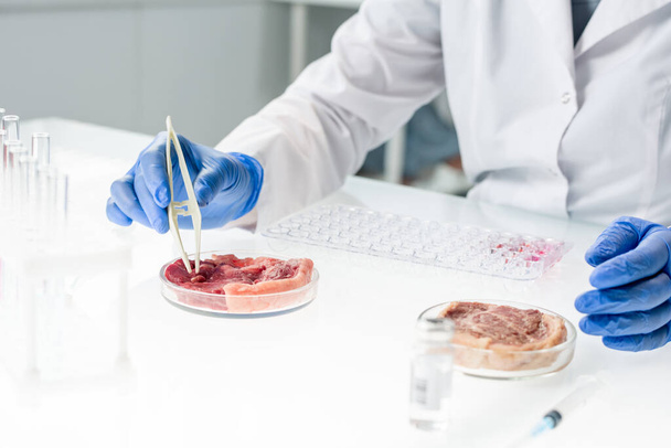 Handschoenenhanden van een wetenschappelijk onderzoeker in whitecoat die tijdens het experiment kleine monsters rauw groentevlees neemt terwijl hij in het laboratorium aan tafel zit - Foto, afbeelding