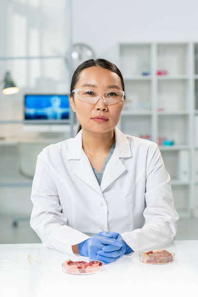 Jonge handschoen Aziatische vrouwelijke onderzoeker in whitecoat en bril zitten door de werkplek met twee monsters van rauw groente vlees in petrischaaltjes - Foto, afbeelding