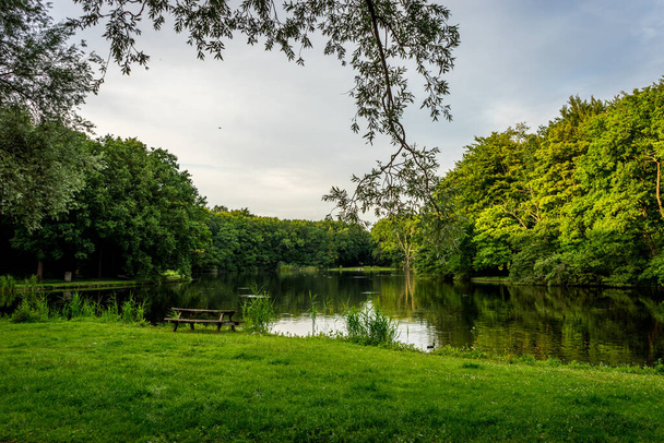 Banc en bois sur herbe verte surplombant un étang d'eau à Haagse Bos, forêt à La Haye, Pays-Bas, Europe - Photo, image