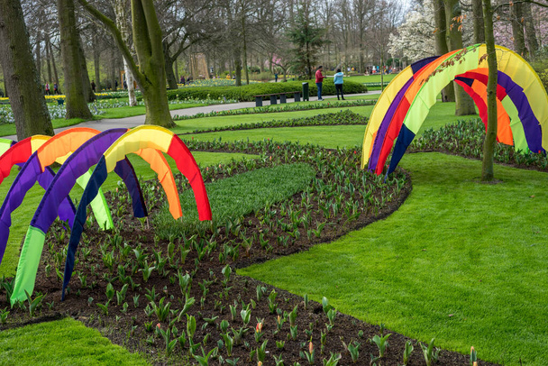 Çiçek bahçesi, Hollanda, Avrupa, Parkta renkli bir uçurtma - Fotoğraf, Görsel